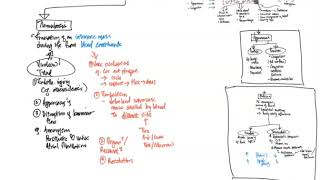 Haemodynamic Disorders II Thrombosis Haemorrhage and Shock [upl. by Garibald396]