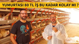 BU Ä°ÅžÄ°N ZORLUKLARI  TAVUK Ã‡Ä°FTLÄ°ÄžÄ° KURMAK VE ÃœRETÄ°CÄ°MÄ°ZÄ°N YAÅžADIKLARI [upl. by Ttenyl]