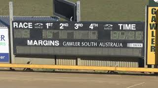 Gawler31072024Race8 [upl. by Ahsocin]