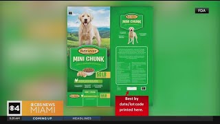 Dog food recalled due to potential salmonella contamination [upl. by Nawiat]