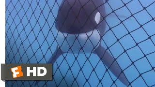 Free Willy 1993  Almost Free Scene 910  Movieclips [upl. by Runstadler475]