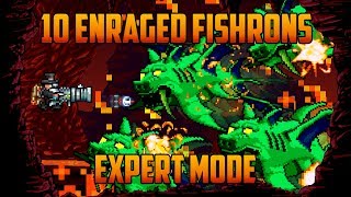 Terraria  10 Enraged Duke Fishrons in Hell Bug [upl. by Ladnyc]