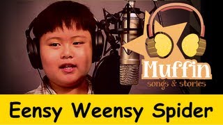 Eensy Weensy Spider Itsy Bitsy  Family Sing Along  Muffin Songs [upl. by Ellehcir]