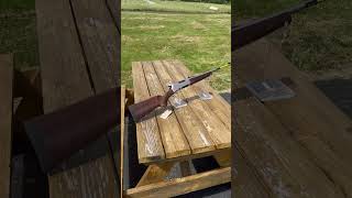 Browning BLR Lightweight Stainless Lever 243 Winchester 20″ 41 Walnut Stock Stainless Steel barrel [upl. by Adiene714]