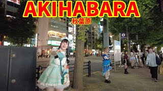 Akihabara Walk in Tokyo13 Tokyo walking Japan maid akihabara [upl. by Yzeerb982]