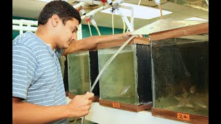 Graduatre Student Malliks Research on Largemouth bass Diet Study [upl. by Leonore]