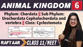 Introduction and Classification of Phylum ChordataOrigin of chordatesBSc 5th Semester Paper 2 [upl. by Eivlys360]