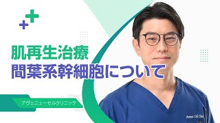 間葉系幹細胞の歴史と再生医療で用いた時にどのような効果があるのか【アヴェニューセルクリニック】 [upl. by Norvil819]