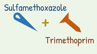 Sulfamethoxazole  Trimethoprim  Cotrimoxazole [upl. by Annaeerb]