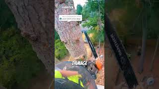 Removing Tree In A Tight Spot😱 arborist logging chainsawman [upl. by Christiane]