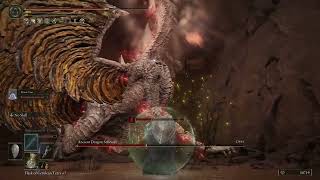 ANCIENT DRAGON SENESSAX BOSS FIGHT ELDEN RING SHADOW OF THE ERDTREE DLC 4K 60FPS EASY KILL CHEESE [upl. by Lawtun]