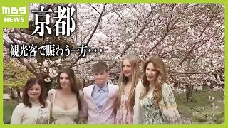 桜（さくら）の編み方 5種類（花・五分咲き・つぼみ・花びら・枝）【かぎ針編み】 [upl. by Htebsle]