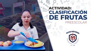 🍋 Clasificación de frutas 🍎 Preescolar  Montessori [upl. by Josie]