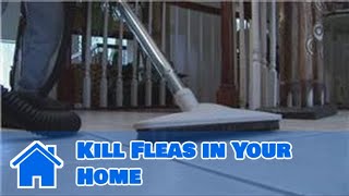 Home Pest Control  How to Kill Fleas in Your Home [upl. by Archibald773]