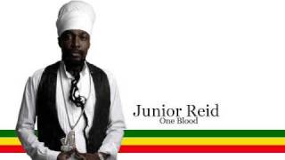 Junior Reid  One Blood [upl. by Kreegar]