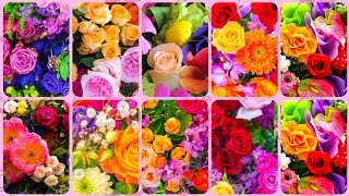 Multi Colors Flowers Stunning Wallpaper Nature Beautiful Wallpapers [upl. by Sladen159]