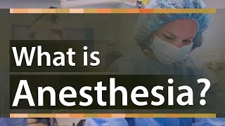 What is Anesthesia  Types of Anesthesia And How does it Work  Education Terminology [upl. by Leynwad]