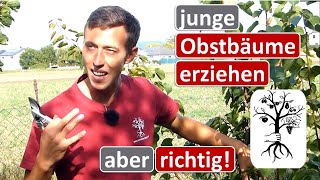 Junge Obstbäume schneiden und formieren  Erziehungsschnitt von Obstbäumen [upl. by Hootman919]