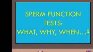 SPERM FUNCTION TEST IN ROUTINE ANDROLOGY [upl. by Jacob]