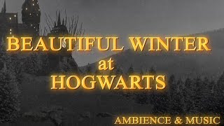 Harry Potter  Cozy Winter and Relax Snowfall Ambience at Hogwarts [upl. by Yentuoc]