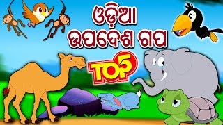 ଓଡ଼ିଆ ଉପଦେଶ ଗପ  Odia Moral Stories  Odia Story  Fairy Tales in Odia  Odia Gapa Cartoon [upl. by Godliman929]