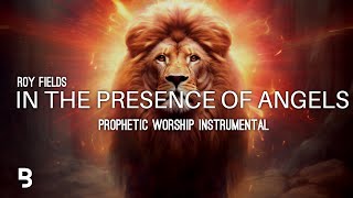 Prophetic Worship Music  In The Presence of Angels Intercession Prayer Instrumental  Roy Fields [upl. by Harmonia]