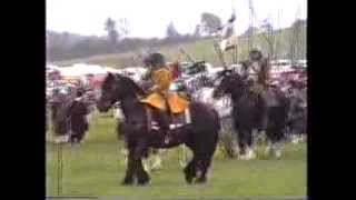 Shrotons Sealed Knot civil war reenactment [upl. by Yrennalf]