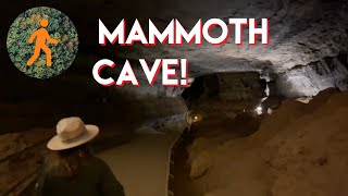 Mammoth Cave National Park  Gothic Avenue Full Virtual Tour  4K [upl. by Lizzy271]