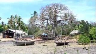 Tanzania Utende Chole Island e Kilindoni Mafia  Parte 1516 [upl. by Enihpled278]