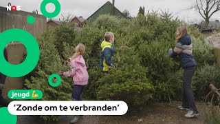 Wat gebeurt er met de 25 miljoen Nederlandse kerstbomen [upl. by Bailar]