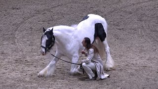 FREDERIC PIGNON amp MAGALI DELGADO live  EQUITANA  März 2023 [upl. by Barn]