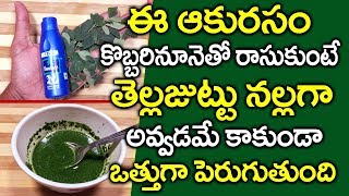 కొబ్బరినూనెలో ఈఆకు రసం కలిపి రాసుకుంటే  I Moringa Leaves for Hair Growth I Everything in Telugu [upl. by Trebmal959]