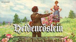 Heidenröslein German folk songEnglish translation [upl. by Ahsenev]