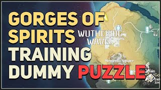 Gorges of Spirits Training Dummy Correct Order Puzzle Wuthering Waves [upl. by Stanfill143]