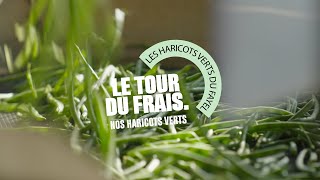 Grand Frais  Le Tour du Frais avec Hugo producteur d’haricots verts [upl. by Coraline]