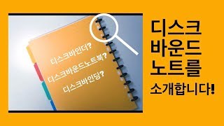 바인더노트 디스크바인더 디스크바인딩에 대하여  What is discbound notebook  디디 DD [upl. by Loos]