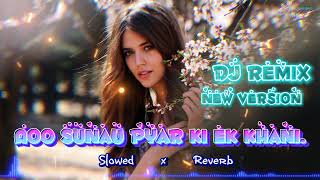 Aoo Sunau Pyar Ki ek Khani 🩷 Slowed and Reverb  hindi sorng  dj remix  remix dj hindisong [upl. by Uile7]