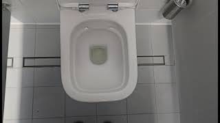 2010s Geberit Rimless toilet on a Geberit Flush Panel [upl. by Reamonn]