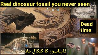 dinosaur movie in hindi  dinosaur documentary  jurassic world  part 1 [upl. by Ecnaiva241]