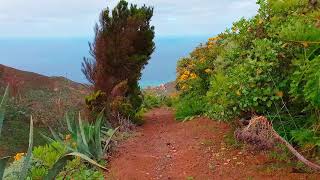 Ruta Mirador Amogoje  Almáciga Anaga  Tenerife [upl. by Llered]