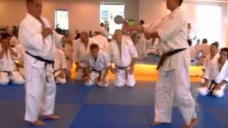 Nariyama Shihan  Teaching 6 Advanced Kansetsu Waza [upl. by Melitta]