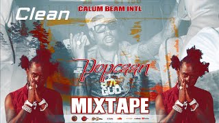 Popcaan Mix 2024 CLEAN  Popcaan Mixtape 2024 Clean  Popcaan Dancehall Mix 2024  Calum beam intl [upl. by Dnomzed]