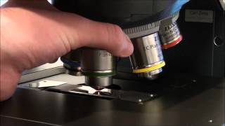 ZEISS Microscopy Howto Set up Köhler Illumination on your ZEISS Axio Imager [upl. by Htebiram]