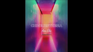 Am Élie  Chromesthesia Official Vertical Lyric Video [upl. by Kemppe]