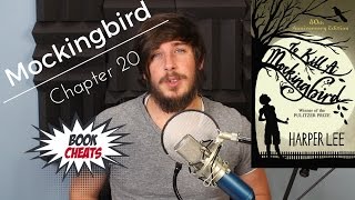 To Kill a Mockingbird Chapter 20 Summary [upl. by Martella]