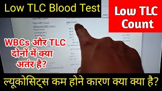 TLC Test Low TLC Count In Blood Test Means  Low TLC Causes  TLC Test In Hindi  tlc test mean [upl. by Hillyer50]