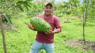 Coseche una guanabana gigante😱 [upl. by Carpenter]