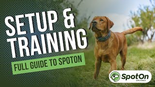 Getting Started with SpotOn Training amp Setup [upl. by Zampardi]