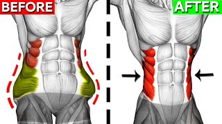 Dont Miss These 10 Perfect Oblique Exercises 🎯 [upl. by Aened]