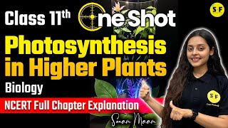 PHOTOSYNTHESIS IN HIGHER PLANTS ONE SHOT  CLASS 11 BIOLOGY NCERT EXPLANATION WITH SONAM MAAM [upl. by Ardnoek]